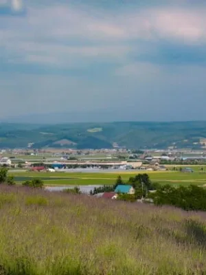 Infrastructure Act's Impact on Rural US Wireless Broadband - Cover Image