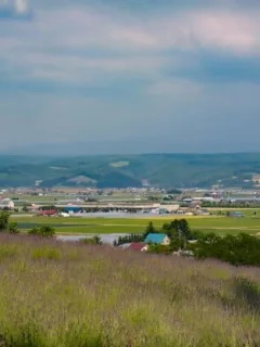 Infrastructure Act's Impact on Rural US Wireless Broadband - Cover Image