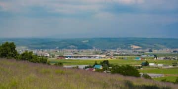 Infrastructure Act's Impact on Rural US Wireless Broadband - Cover Image